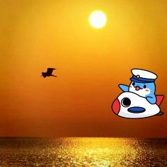 杯杯乐 User Photo