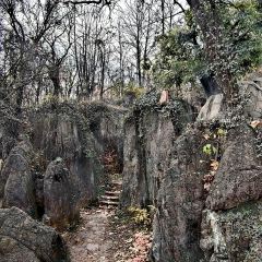 HUAI SHANG DOU FU RESTAURANT User Photo