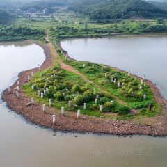 杨氏豆花 User Photo