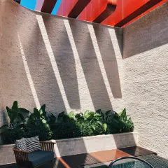 漫步絲路用戶圖片