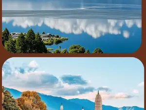 MI ZHI REN GU