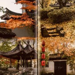 绘璟轩·不醒人室 User Photo