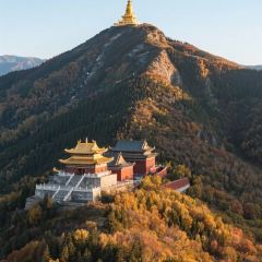 Mr chai Noodle User Photo