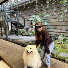 椿野咖啡馆(和顺店) User Photo