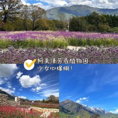 Lijiang Club Med Resorts Amaze Snow Mountain CampTent Restaurant User Photo