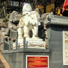 HUAI SHANG DOU FU RESTAURANT User Photo