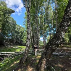 禾木老村山庄 User Photo