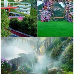 BO SHAN CAI GUAN User Photo