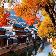 一品凉饭庄·建水人家分店 User Photo