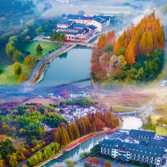 漁宴樓（天目湖店）張用戶圖片