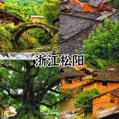 飞茑集樢咖啡 User Photo