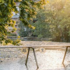 樊老头樊氏牛骨粉(婺源书乡路店) User Photo