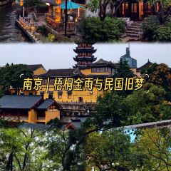 老炳·七叢松甘草水果張用戶圖片