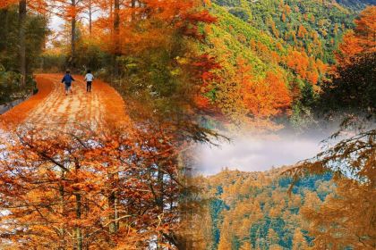 绘璟轩·不醒人室