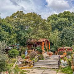 谭婆饺子粑 User Photo