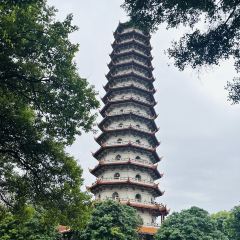 唐沫茶兮（世歐北區3樓店）張用戶圖片