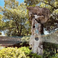 绘璟轩·不醒人室 User Photo