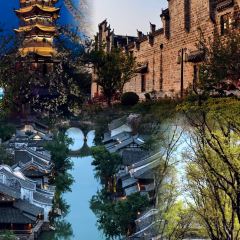 竹林大饭店 User Photo