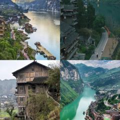 罗记酸汤鱼(凤凰路店) User Photo