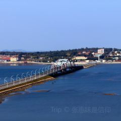 海岛日记(养马岛店) User Photo