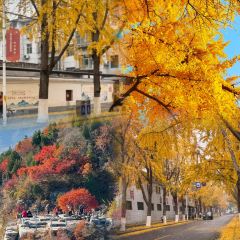 WEIDAOJIA MAMACAI User Photo