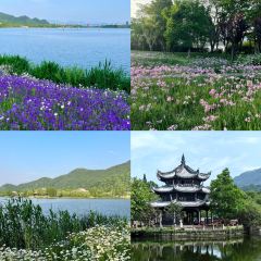 洪池嵌糕店 User Photo