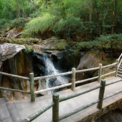 樊老头樊氏牛骨粉(婺源书乡路店) User Photo