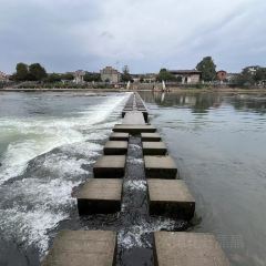 Chongqingxiaotian'e (kaifaqu) User Photo