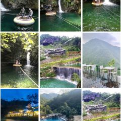 天桥底鸡煲 User Photo