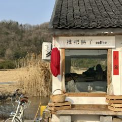 枇杷熟了coffee User Photo