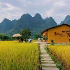 一尺稻田咖啡 User Photo