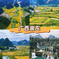 dan jia yu pai User Photo