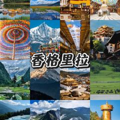 A Ma de su you cha User Photo