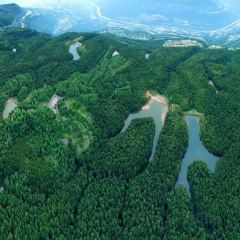 XIANG WEI CUN GU CHANG CAI User Photo