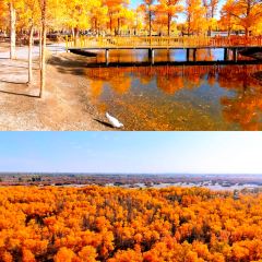 益和居·驴肉黄面(鸣山北路店) User Photo