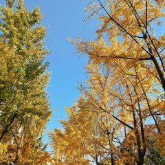 Zhengweizhaiguobacai(Xi Bei Jiao Dian ) User Photo