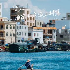 dan jia yu pai User Photo