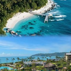 嗲嗲的椰子鸡·海南火锅(亚龙湾博后村店) User Photo