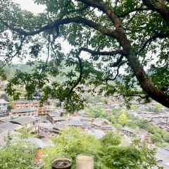 猪圈咖啡屋 User Photo