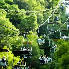 糖油粑粑攤張用戶圖片