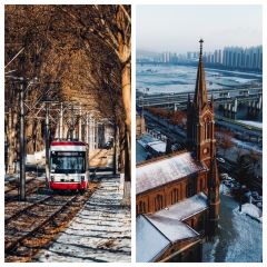 Shunji Traditional Cold Noodles User Photo