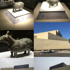 WEIDAOJIA MAMACAI 여행 사진