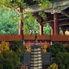 Song ji ba da wan User Photo