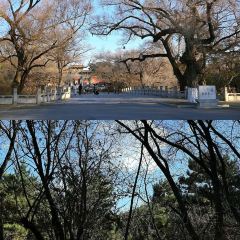 彩塔炒焖子(彩塔夜市店) User Photo