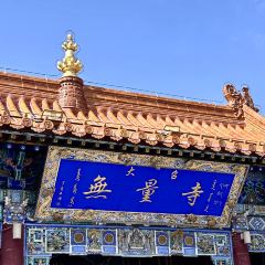 杨老大焙子月饼干货(宽巷子民族美食街店) User Photo