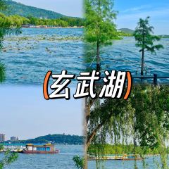 LI BAI XIE User Photo