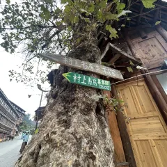 猪圈咖啡屋 User Photo