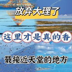 Kamba Nomadic Cafe User Photo