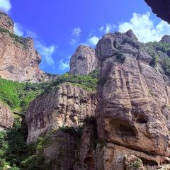 岭上人家鄉情阁烤全羊張用戶圖片