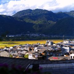 椿野咖啡馆(和顺店) User Photo